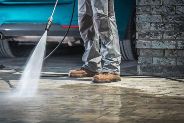 Best Building Exterior Washing  in Dillingham, AK