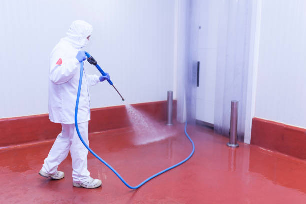 Trusted Dillingham, AK Pressure Washing Services Experts